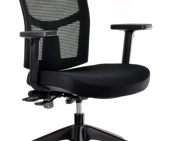 Mesh Back Chairs