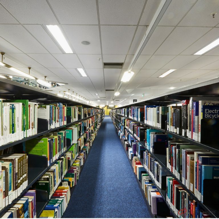 RMIT 7