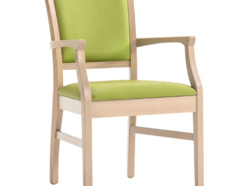 HCARE 37 - Timber Frame Armchair - Image 2