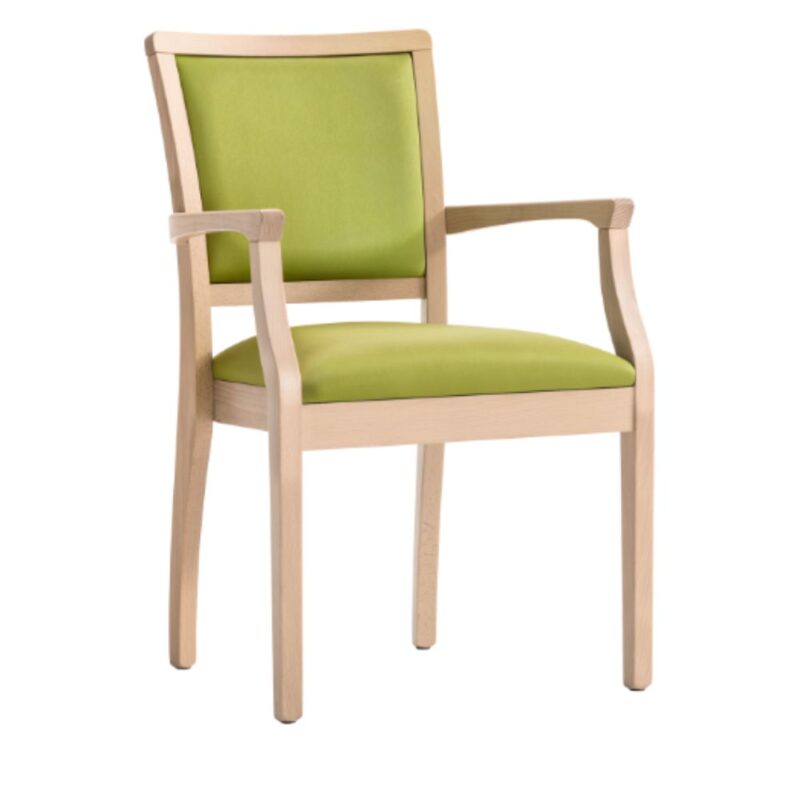 HCARE 37 - Timber Frame Armchair